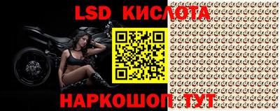 винт Канаш