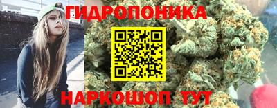 СК Кандалакша