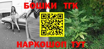 СК Кандалакша